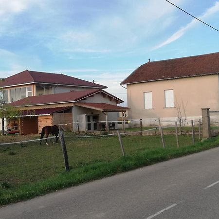 Marcollin Maison De 100M2 Au Coeur D'Une Pension Equestre Les Sabots De Nina מראה חיצוני תמונה